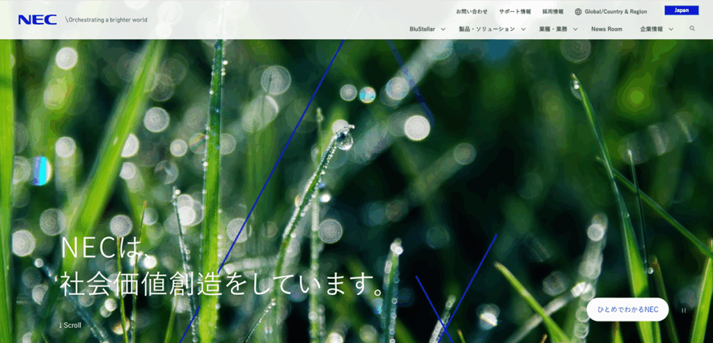 DX人材育成サービス（NEC）